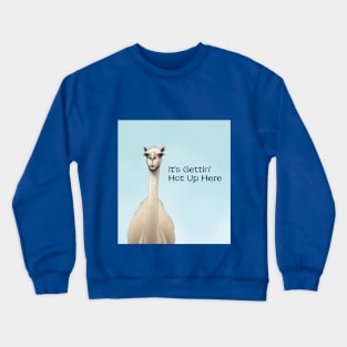 Camel it's gettin' hot up here Crewneck Sweatshirt